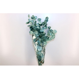 Pres Euca Populus Metal Green Bunch
