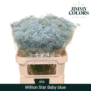 Gyps Million Star L80 Light blue