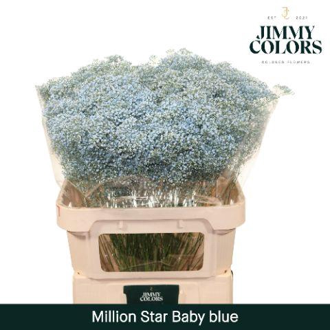 <h4>Gyps Million Star L80 Light blue</h4>