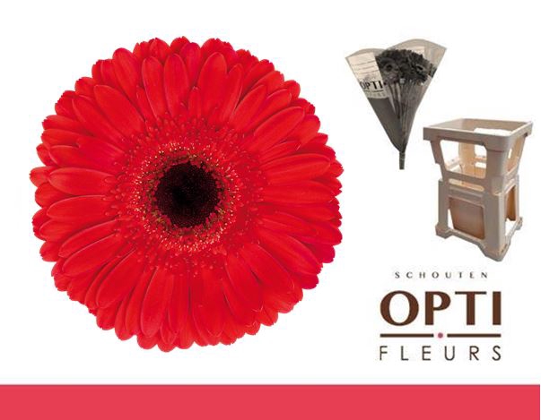 <h4>GE GR DYNAMIC-Water hoes ongelijk</h4>