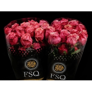 R GR Art Rose