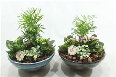 <h4>4580 MIX KER SCHAAL INDOOR</h4>