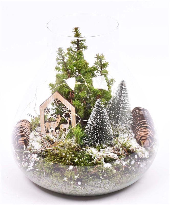 <h4>Glas schaal 24cm</h4>