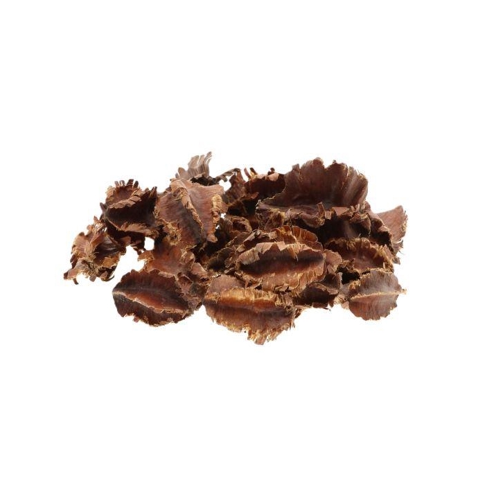 <h4>Windmill Pod Grande 50g L9W8H15</h4>