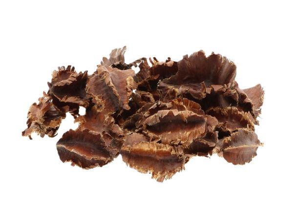 Windmill Pod Grande 50g L9W8H15