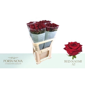 R GR RED NAOMI!
