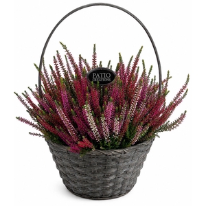 Arr.   Tuinplanten L%