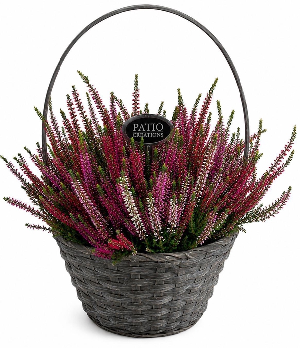 <h4>Arr.   Tuinplanten L%</h4>