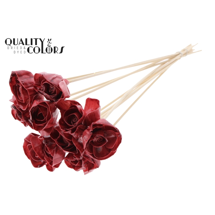 <h4>Shola Dear Holly 6cm on stem Wax Burgundy</h4>
