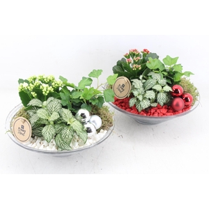 arr2 PL - Glas schaal 23cm - rood/wit