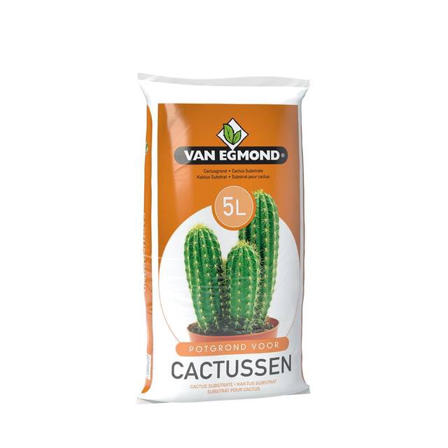 <h4>Cactusgrond 5 liter</h4>