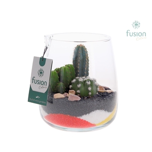 Glas Alzada met Cactus