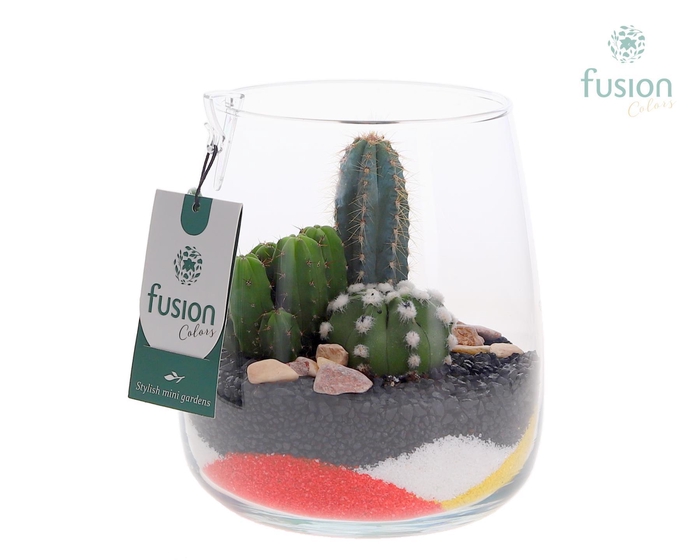 <h4>Glas Alzada met Cactus</h4>