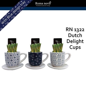 arr4 Muscari RN - Dutch delight cup