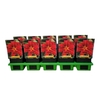 Hemerocallis Crimson Pirate