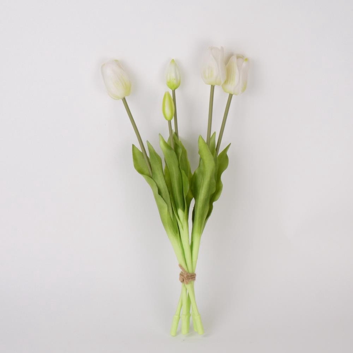 AF Tulip bundle x5 L45cm  wh