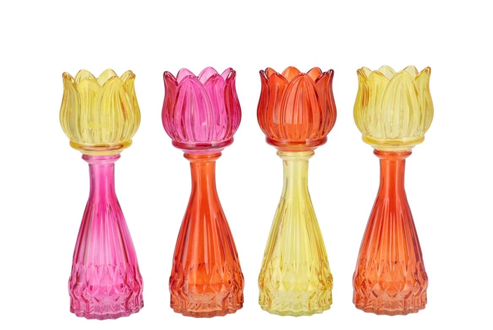 <h4>Bicolore Dutch Orange Mix Tulip Vase Ass 7x22cm</h4>