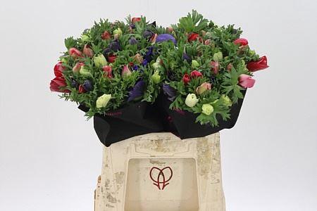 <h4>Anem Co Mixed</h4>