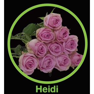 R Gr Heidi!