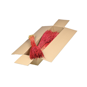 Rice Sb Red
