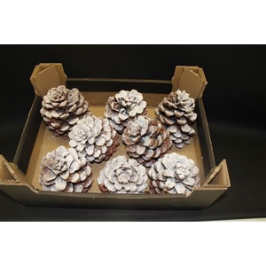 Pinea Naturel Snow
