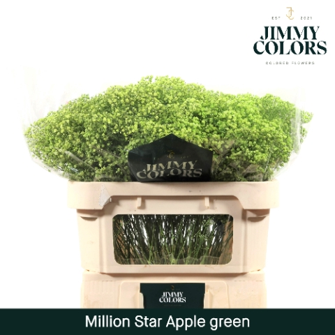 <h4>Gyps Million Star L70 Apple green</h4>