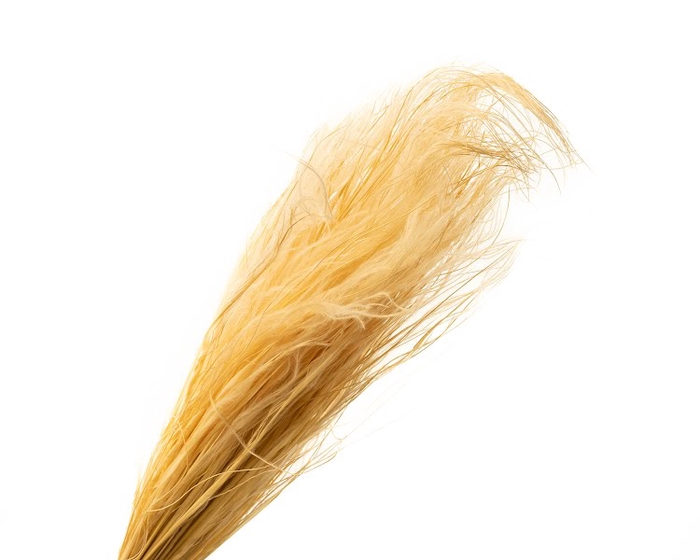 <h4>Stipa Pennata Naturel</h4>