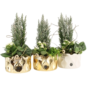 61630: X-mas arrangement