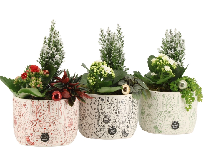 <h4>61591: X-mas arrangement</h4>