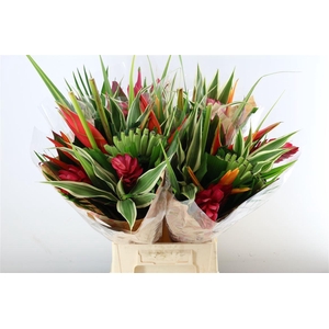 Bouquet Round Rainbow (mg)