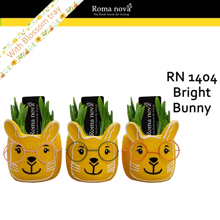 <h4>1404 - Bright Bunny (Tete a Tete)</h4>