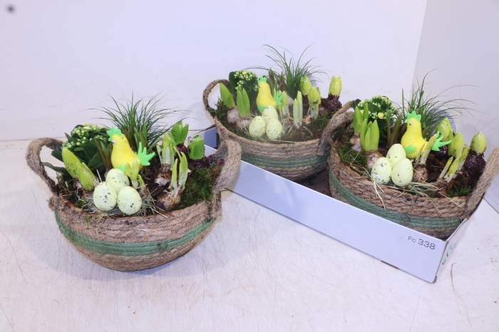 <h4>ARR PL IN SCHAAL</h4>