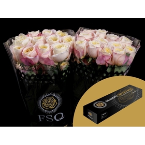 R GR Gar Fatima Garden Box