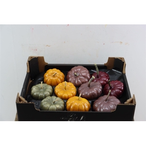 Wax Sierfruit Baby Boo Autumn Mix