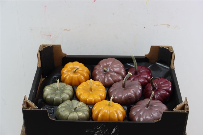 <h4>Wax Sierfruit Baby Boo Autumn Mix</h4>
