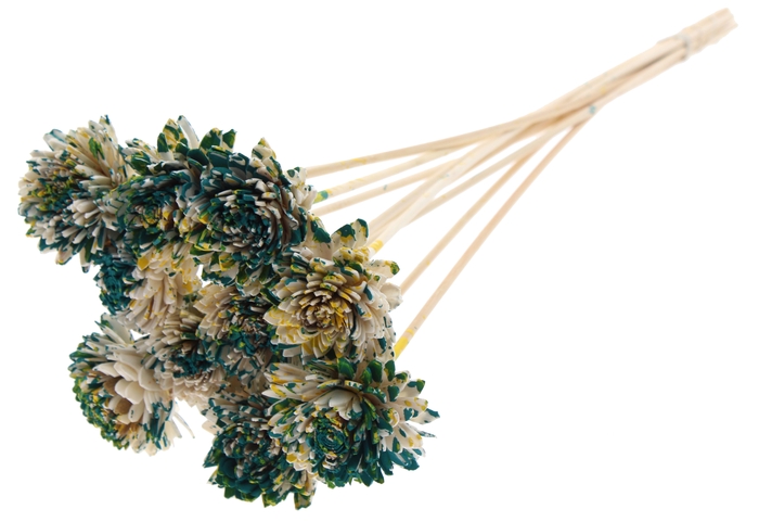Shola Zinia 6cm on stem Multicolour Green/Yellow