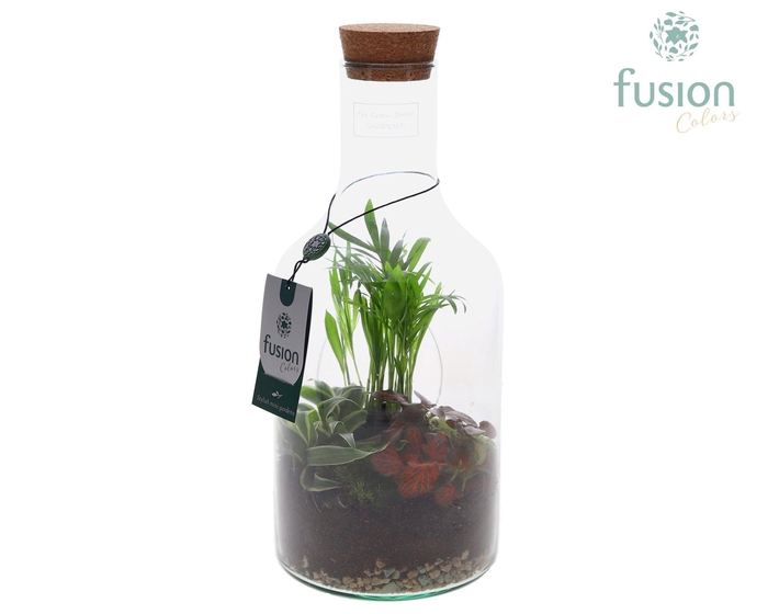 <h4>Green Bottle Fles Small met Arrangement</h4>