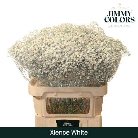 <h4>Gyps Xlence L80 White</h4>