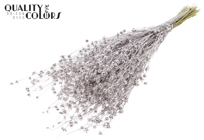 <h4>Droogbloemen   ...bewerkt H%</h4>