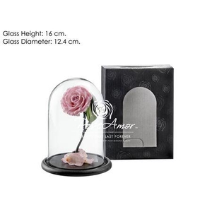 Dome Sofia Pin04 Bulk