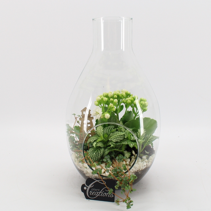 <h4>SMCR-2406 Summer Fundamentals terrarium</h4>