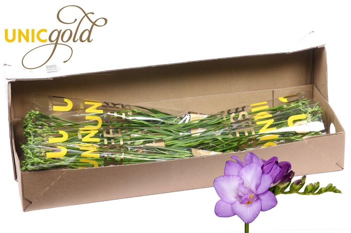 <h4>UG Barendse - Biscaya 5x20 in box</h4>