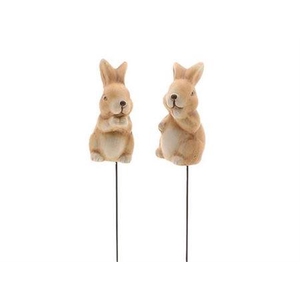 Pick Bunny 2ass L4w4h8