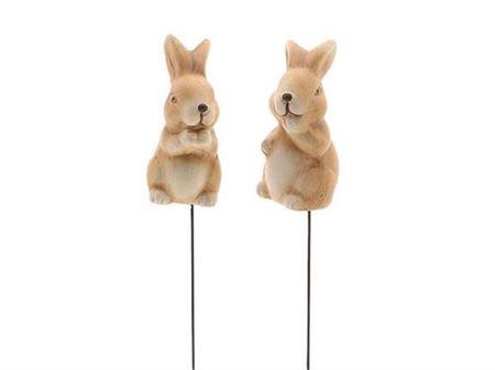 <h4>Pick Bunny 2ass L4w4h8</h4>