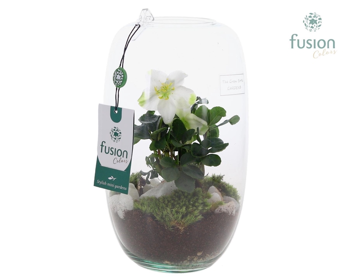 <h4>Green Bottle Isabella Medium met Helleborus</h4>