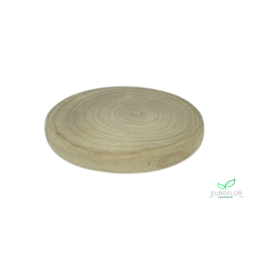 PAULOWNIA WOOD DISK 20X00XH3