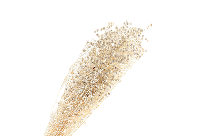 Lino Vlas White Bleached