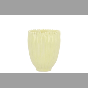 Bloom Daisy Dreamy Yellow Cup 8x8x9cmv