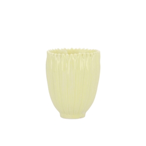 Bloom Daisy Dreamy Yellow Cup 8x8x9cmv