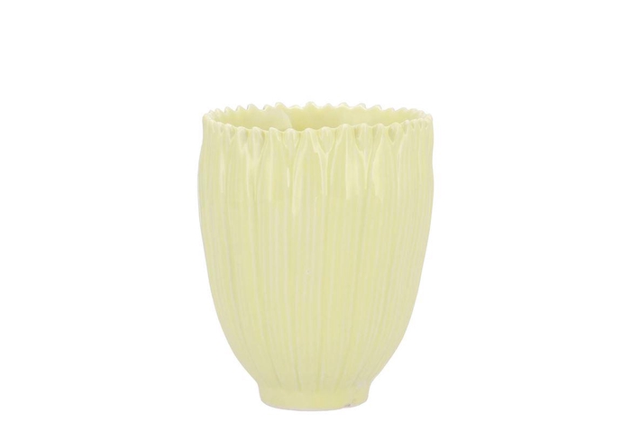 <h4>Bloom Daisy Dreamy Yellow Cup 8x8x9cmv</h4>